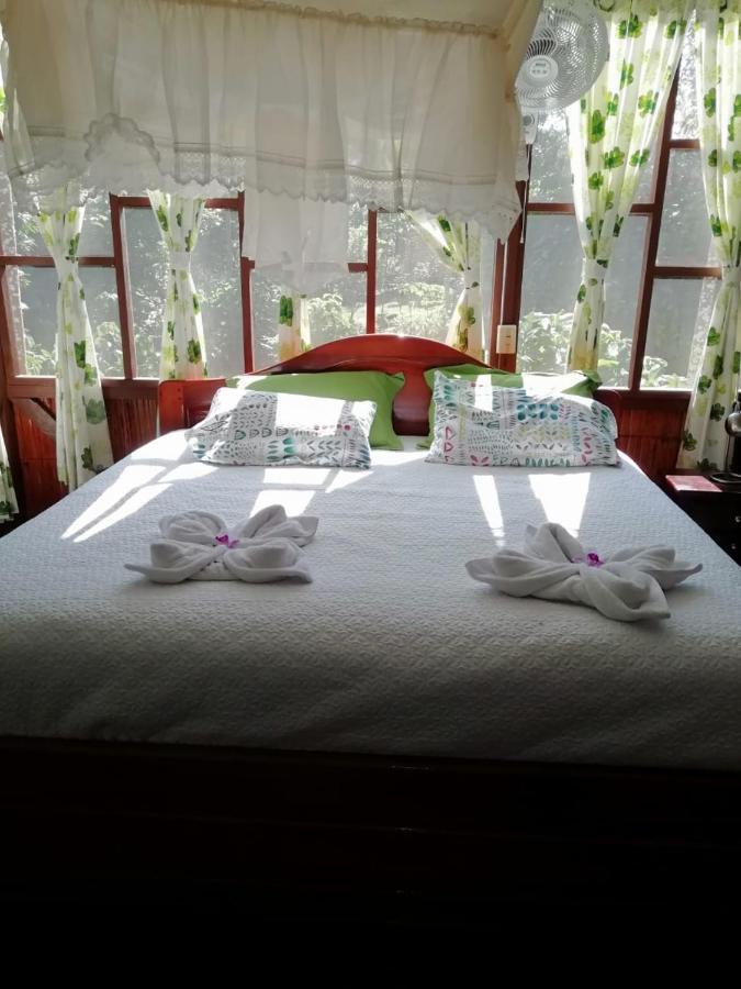 Yarina Eco Lodge Derna المظهر الخارجي الصورة