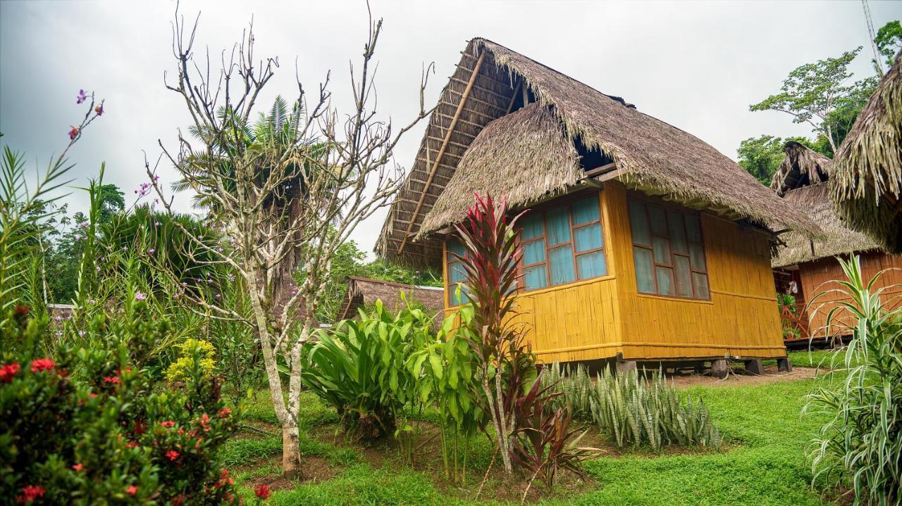 Yarina Eco Lodge Derna المظهر الخارجي الصورة