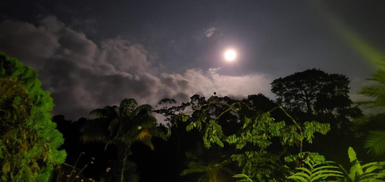 Yarina Eco Lodge Derna المظهر الخارجي الصورة