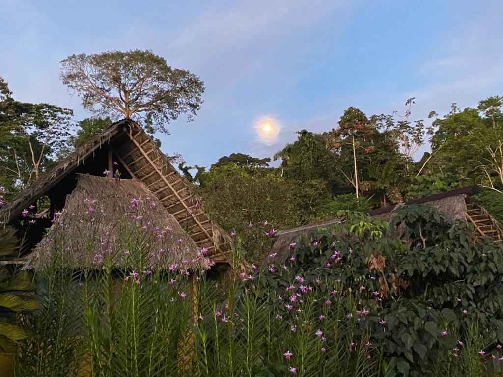 Yarina Eco Lodge Derna المظهر الخارجي الصورة