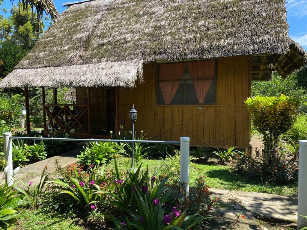 Yarina Eco Lodge Derna المظهر الخارجي الصورة